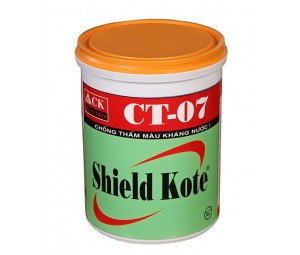 SHIELD KOTE CT-07